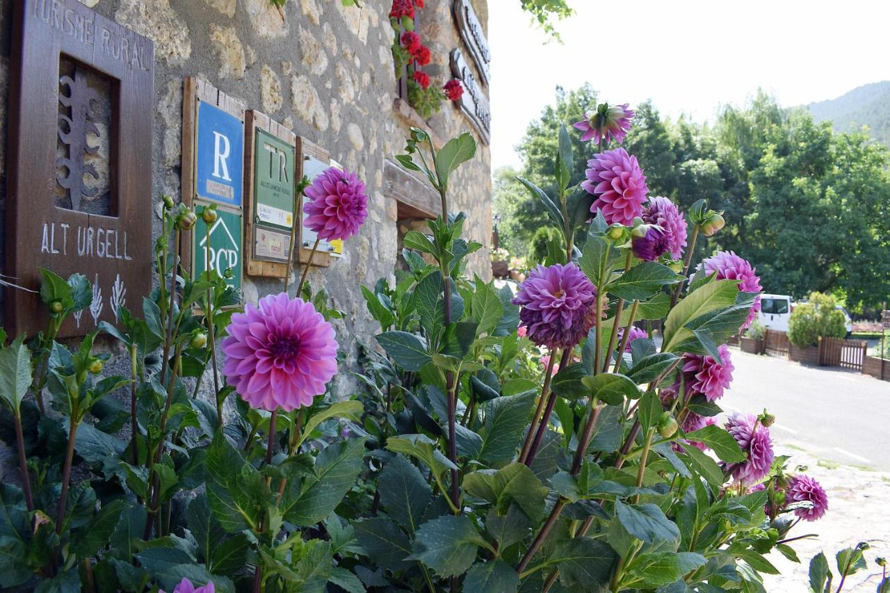 Casa Rural Moli De Fornols Hotel Buitenkant foto