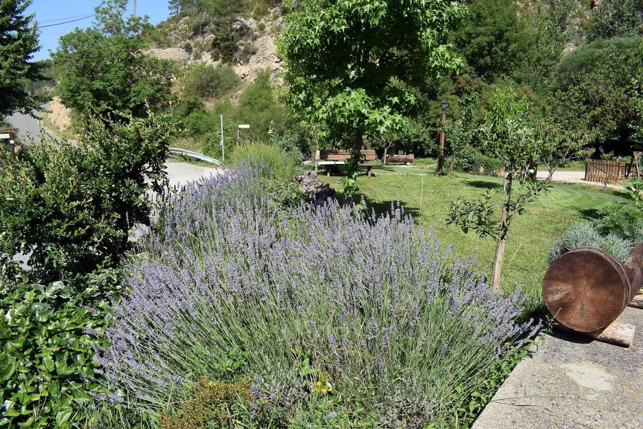 Casa Rural Moli De Fornols Hotel Buitenkant foto